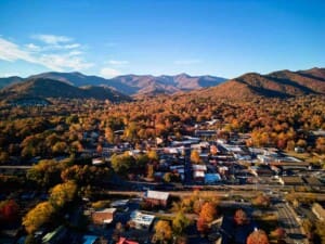 Fall Foilage 1