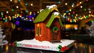 gpirst gingerbread house