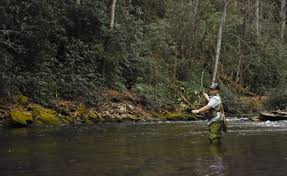 Fly Fishing Fly Fishing