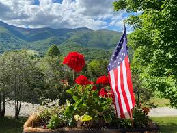 Geranium flowers with an American flag at the Veteran's Cemetery in Black Mountain, NC 