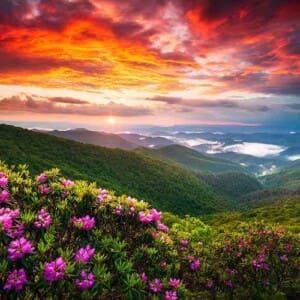 Vibrant sunset over lush mountains with rhododendron blooming