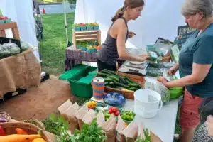 Fresh early fall produce at the Black Mountain Tailgate Market.